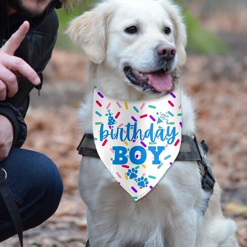 2nd Birthday Dog Birthday Bandana Funny Dog Birthday Party Accessories Pet Scarf for Dog Photo Prop Triangle Scarf for Pet 2nd Birthday Party Decoration in Kuwait