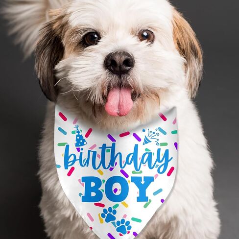 2nd Birthday Dog Birthday Bandana Funny Dog Birthday Party Accessories Pet Scarf for Dog Photo Prop Triangle Scarf for Pet 2nd Birthday Party Decoration in Kuwait