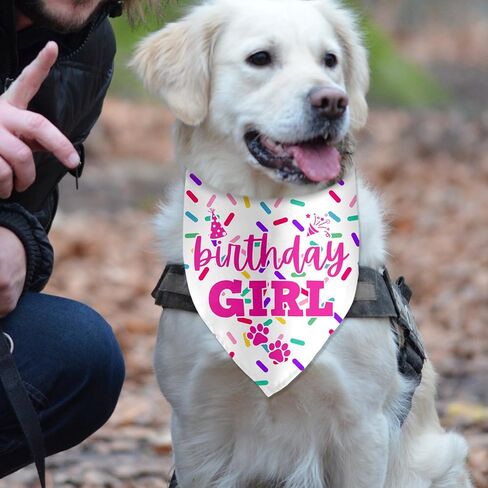 2nd Birthday Dog Birthday Bandana Funny Dog Birthday Party Accessories Pet Scarf for Dog Photo Prop Triangle Scarf for Pet 2nd Birthday Party Decoration in Kuwait