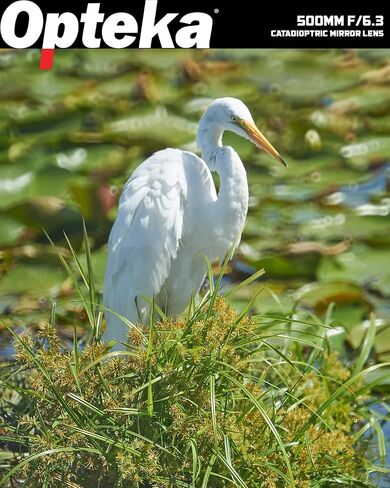 Opteka 500mm f/6.3 (with 2X- 1000mm) Telephoto Mirror Lens for Canon EF-Mount EOS 90D, 80D, 77D, 70D, 60D, 50D, 7D, 6D, 5D, 5DS, 1DS, T8, T8i, T7i, T7s, T7, T6s, T6i, T6, T5, SL3 and SL2 DSLR Cameras in Kuwait