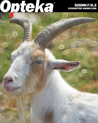 Opteka 500mm f/6.3 (with 2X- 1000mm) Telephoto Mirror Lens for Canon EF-Mount EOS 90D, 80D, 77D, 70D, 60D, 50D, 7D, 6D, 5D, 5DS, 1DS, T8, T8i, T7i, T7s, T7, T6s, T6i, T6, T5, SL3 and SL2 DSLR Cameras in Kuwait