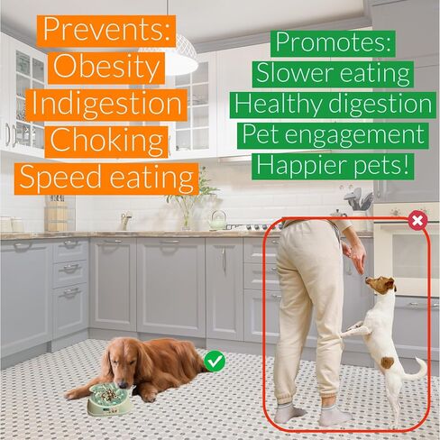 Rack&Roll PRODUCTS INC Slow Feeder Dog Bowl for Healthier Meal Times (Blue) in Saudi Arabia