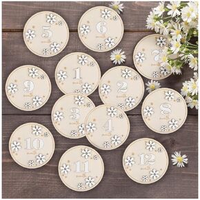 Baby Months Signs, 3D Daisy Wooden Marker Discs Rustic, Baby Party Photo Prop, Baby Announcement Sign, Pregnancy and Baby Growth Monthly Wood Discs 1-12 Months Interchangeable Milepost Card Decor
