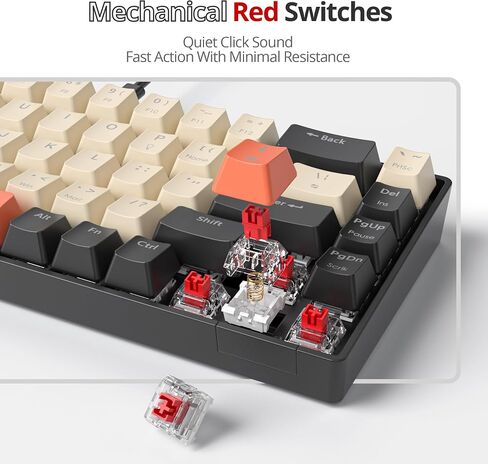 60% Wired Gaming Keyboard, 68 Keys Portable Mechanical Keyboard, Compact Mini Keyboard with RGB Backlit Red Switch PBT Keycaps for Win Laptop Gamer(68Blue/Red Switch) in Saudi Arabia