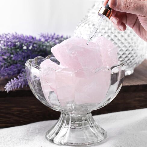 FUTUREPLUSX 6PCS Amethysts with Jar, Natural Rough Stones Crystal Large Raw Crystals Bulk Healing Gemstones for Reiki Healing Tumbling Fountain Rocks in Saudi Arabia