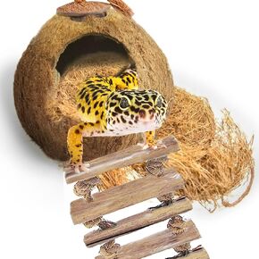 كوخ قشر جوز الهند من SunGrow Leopard Gecko مع سلم، مع فتحة صدفة، وموئل كهف مع حلقة تعليق، قطعة واحدة في كل عبوة