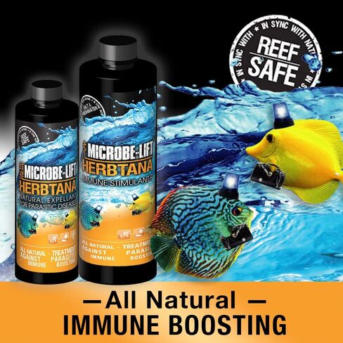 MICROBE-LIFT HERB16 Herbtana معزز المناعة ومزيل الطفيليات الطبيعي لأحواض السمك المنزلية في المياه العذبة والمياه المالحة وخزانات الأسماك، 16 أونصة in Saudi Arabia