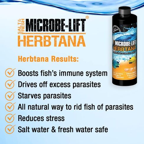 MICROBE-LIFT HERB16 Herbtana معزز المناعة ومزيل الطفيليات الطبيعي لأحواض السمك المنزلية في المياه العذبة والمياه المالحة وخزانات الأسماك، 16 أونصة in Saudi Arabia