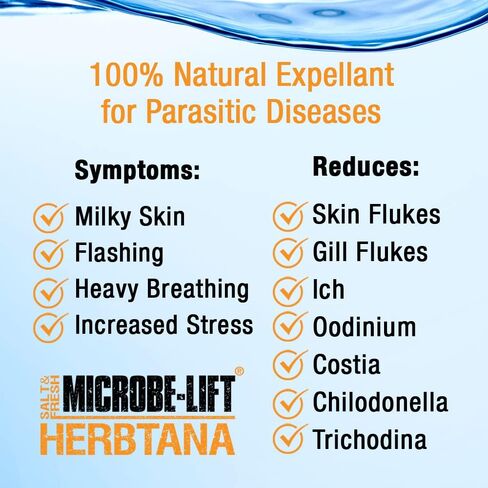 MICROBE-LIFT HERB16 Herbtana معزز المناعة ومزيل الطفيليات الطبيعي لأحواض السمك المنزلية في المياه العذبة والمياه المالحة وخزانات الأسماك، 16 أونصة in Saudi Arabia