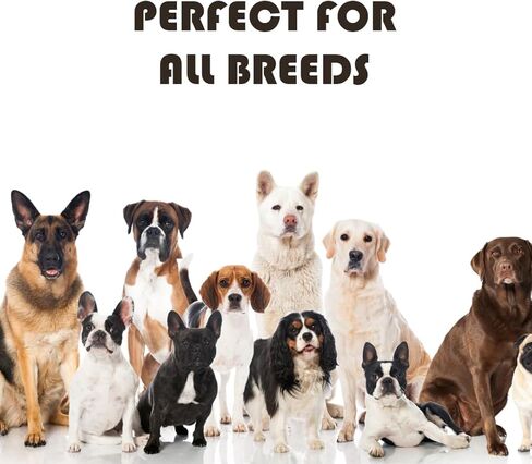 مشط البراغيث الاحترافي من Richpet للكلاب والقطط - أداة فعالة للعناية بالحيوانات الأليفة لإزالة البراغيث والقمل - مشط معدني من الفولاذ المقاوم للصدأ للكلاب والقطط مع مقبض مريح - مثالي للشعر الطويل والقصير in Kuwait