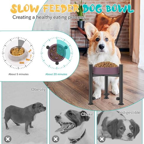 Adjustable Slow Feeder Elevated Dog Bowls Stand- 4 Heights, Wide 5-10"- Oppro Single Raised Dogs Bowl Stand with Slow Feed for Food Water, Non-Slip Dog Bowls Elevated for Medium Large Small Dogs Puppy in Kuwait