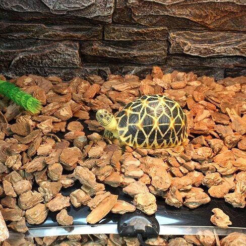 FullyWarms Reptile Heating Pad,14W 11x11 inch Removable Under Tank Heat Pad,Safety Adjustable Reptile Heat Mat for Turtle, Tortoise, Snakes, Lizard, Gecko in Saudi Arabia