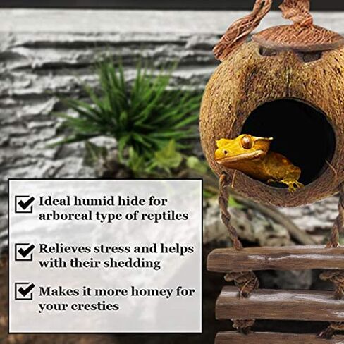 SunGrow Leopard Gecko Coconut Husk Hut with Ladder, with Shell Opening, Cave Habitat with Hanging Loop, 1 Pc per Pack in Saudi Arabia