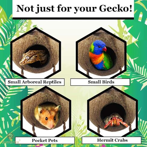 SunGrow Leopard Gecko Coconut Husk Hut with Ladder, with Shell Opening, Cave Habitat with Hanging Loop, 1 Pc per Pack in Saudi Arabia