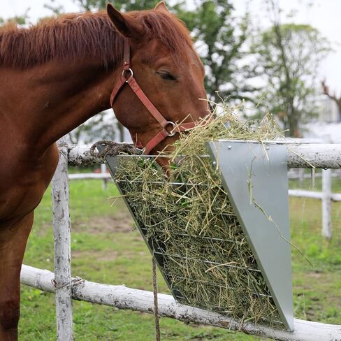 وحدة تغذية القش المعلقة من الفولاذ المجلفن من Solution4Patio، وحدة تغذية ذات سعة كبيرة للخدمة الشاقة مع خطافات قابلة للتعديل تناسب مختلف الأكشاك والحظائر، وحدة تغذية القش للماعز والأغنام والحصان #B806A01-US2 in Kuwait
