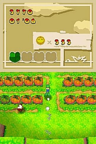 فروجر: خوذة الفوضى - نينتندو دي إس (متجدد) in Saudi Arabia