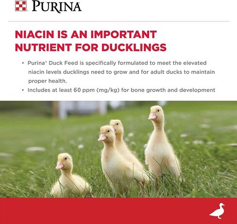 Purina | Nutritionally Complete Duck Feed for All Life-Stages | 5 Pound (5 lb.) Bag in Saudi Arabia