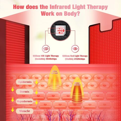 Red Light Therapy for Body, 31" * 11" Red Light Therapy Pad, Dual Chip Grade 360 LEDs 660nm & 850nm Infrared Light Therapy for Body Back Waist Shoulder Knee Joint Pain Relief, Gift for Women Men in Saudi Arabia
