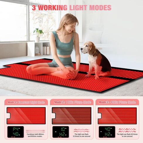 Red Light Therapy for Body, 31" * 11" Red Light Therapy Pad, Dual Chip Grade 360 LEDs 660nm & 850nm Infrared Light Therapy for Body Back Waist Shoulder Knee Joint Pain Relief, Gift for Women Men in Saudi Arabia