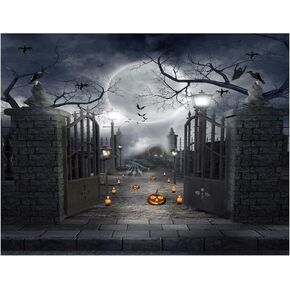 Halloween Backdrop Halloween backdrops for Photography Halloween Scene Setter Halloween Decoration Spooky Backdrop for Halloween Halloween Decorations Indoor Vinyl Banner 10X10FT LY-1203