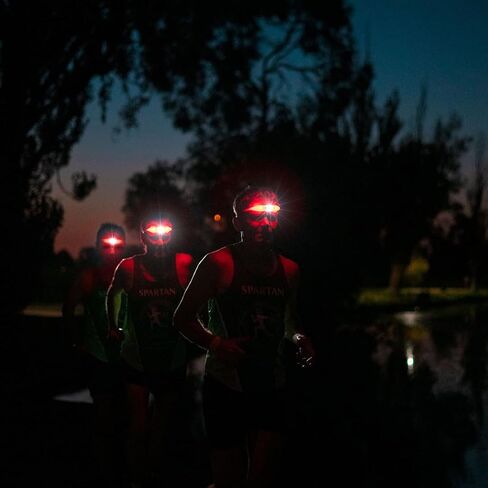 KNOG Bandicoot Run Silicone Rechargeable Headlamp - 250 Lumen, LED Head Lamp w/ 5 Modes, Waterproof Headlamp Flashlight for Outdoor, Camping & Hiking Gear w/Comfortable Reading Light - Coral in Saudi Arabia