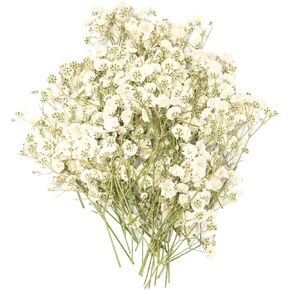Fumwase 100PCS Dried Babys Breath Flowers Bulk White Babys Breath Real Natural Dried Pressed Flowers for Vase Invitations Wedding Party Home Decor DIY Resin Art Craft (100)