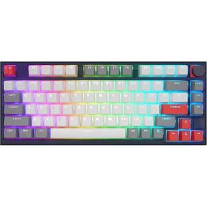 SKYLOONG GK75 TKL Mechanical Keyboard - 75% RGB Hot Swappable Gaming Keyboard - Double Shot PBT Keycaps - Programmable USB-C Wired Keyboard with Knob