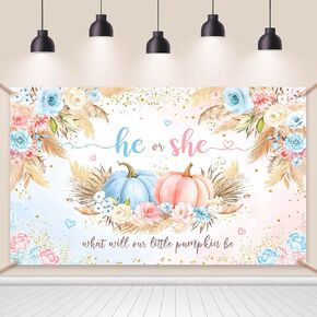 Pumpkin Gender Reveal Backdrop Autumn Fall Pumpkin Gender Reveal Party Decorations He or She Pumpkin Gender Reveal Photography Background Pumpkin Baby Shower Party Decorations Banner 70.8x43.3