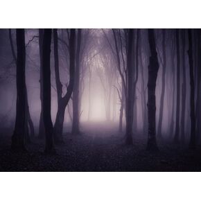 7X5FT Misty Spooky Forest Halloween Backdrop for Photography Mystery Scary Woods Cemetary Photo Backdrop Wizard Sorcerer Ghost Themed Party Banner Decors Photo Props F83