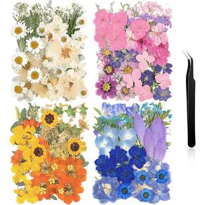 Nuanchu Pressed Flowers Bulk Dried Flower for Crafts, Dried Flower Leave Natural with Tweezer for Resin Mold Scrapbooking DIY (Natural Style)