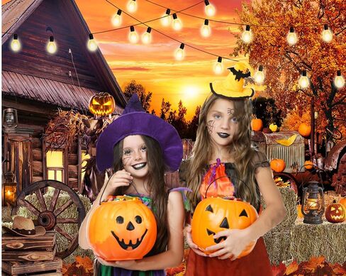 CYLYH 8x6ft Halloween Photography Backdrop Hallowmas Eve Gloomy Devil Pumpkin Scarecrow Background Horrible Scary Nightmare Party Banner in Kuwait