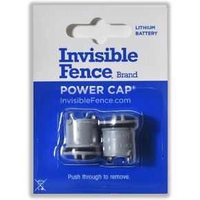 Invisible Fence Brand Power Cap Battery, 1-Pack in Kuwait