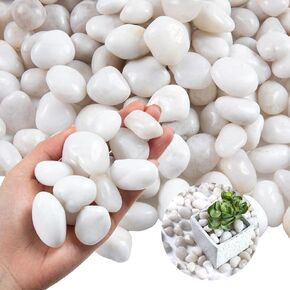 20Ib White River Rocks for Landscaping- High Polished Pebbles for Plants-Garden Decorative Stones-1-2" Large Plant Rocks,Ideal for Aquarium, Home Decor