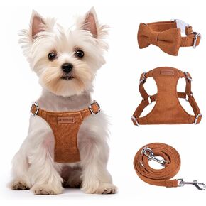 Dog Harness and Leash Set, XXS No Pull Adjustable Puppy Harness with Multifunction Black Dog Leash and Collar, Soft No Choke Escape Proof Pet Harness Vest for Small Dogs and Cats (Black, XXS)