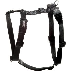 Blue-9 Buckle-Neck Balance Harness, Fully Customizable Fit No-Pull Harness, Ideal for Dog Training and Obedience, Made in The USA, Sky Blue, Small