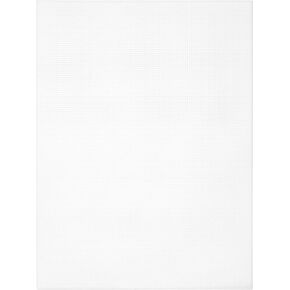 Cousin DIY 14 Count Perforated Plastic Stitching Canvas, 8.5"X11" 2/Pkg, White 2 Piece