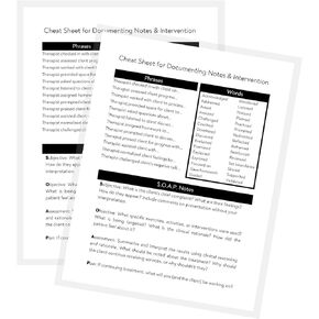 Therapy Notes and Intervention Cheat Sheet | 2 Laminated Sheets | 8.5 x 11" A1 Forms | Therapy Supplies | Minimalist Design
