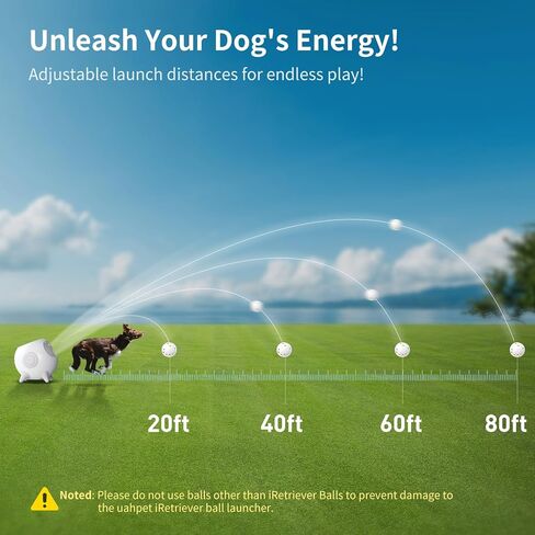 قاذفة كرات للكلاب من آي ريتريفر مع 3 قطع من الكرات، قاذفة كرات للكلاب لتجنب العوائق تلقائيًا مناسبة للكلاب المتوسطة والكبيرة in Kuwait