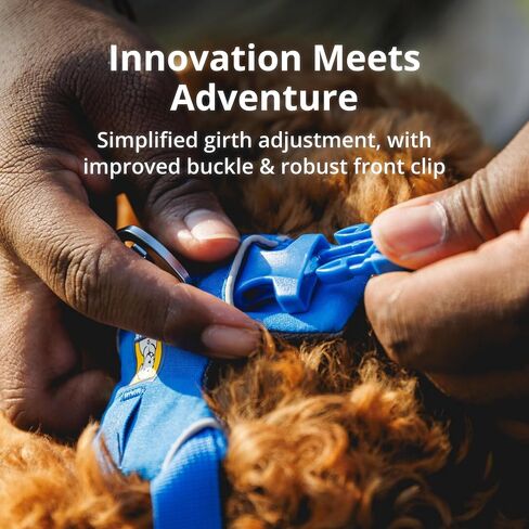 Ruffwear، حزام أمامي للكلاب، حزام عاكس ومبطن للتدريب والحياة اليومية، أرجواني، مقاس صغير in Kuwait