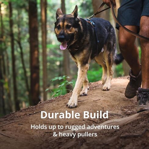 Ruffwear، حزام أمامي للكلاب، حزام عاكس ومبطن للتدريب والحياة اليومية، أرجواني، مقاس صغير in Kuwait