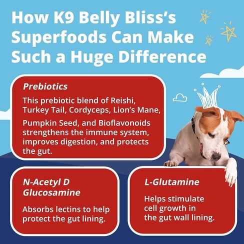 Pup Labs K9 Belly Bliss, All-Natural Gut Health for Dogs, Vet Approved Prebiotic for Dogs for Daily Digestive Support and Dog Constipation Relief, Easy to Use Topper for Dry and Wet Food, 30 Scoops. in Saudi Arabia