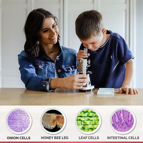 مجموعة مجهر AmScope 1200X 48 قطعة للأطفال والمبتدئين مع شرائح وإضاءة LED وصندوق حمل وكتاب عالم المجهر in Saudi Arabia