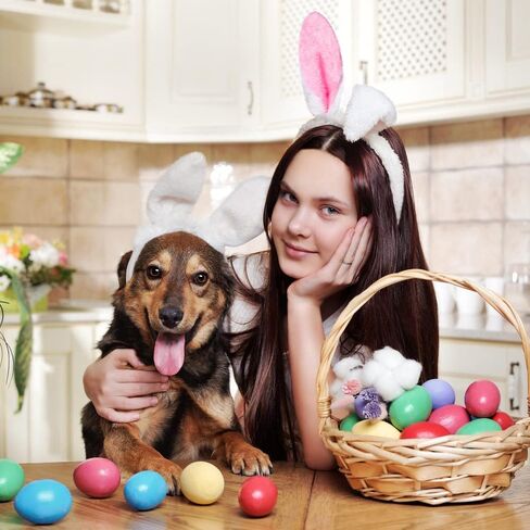 6 قطع من عصابة رأس YUJUN من القطيفة على شكل أذن أرنب، أربطة شعر لطيفة متعددة الألوان لعيد الفصح من أجل لعبة أطفال عيد الفصح وهدايا حفلات عيد الفصح in Kuwait