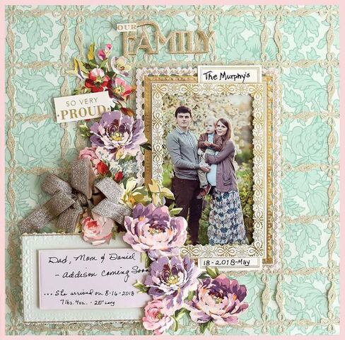 قوالب إطار صور القصاصات Anna Griffin - 12 قطعة من قوالب القطع المعدنية المزخرفة لصنع البطاقات، إطارات الصور DIY، المجلات وسجل القصاصات مع ورقة الأفكار، أكبر قالب هو 5 بوصة × 7 بوصة in Kuwait