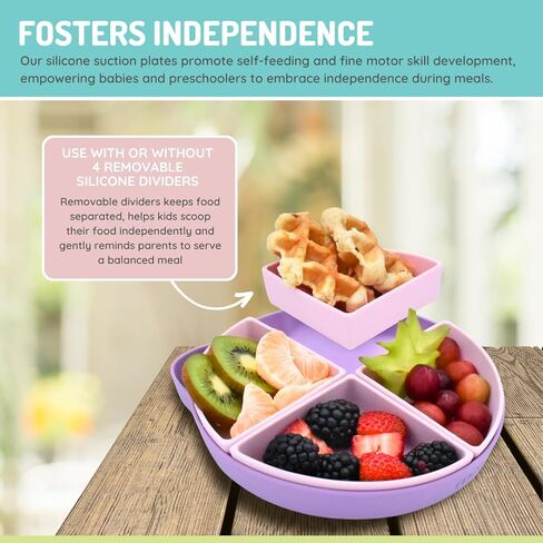 melii 100% Silicone Divided Suction Plate with Removable Dividers, for Baby + Toddlers – BPA Free, Dishwasher & Microwave Safe, Bear in Kuwait