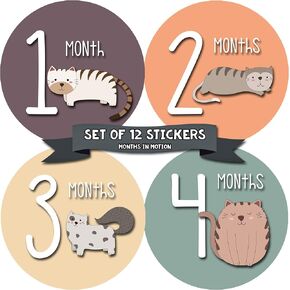 Baby Monthly Stickers - Baby Milestone Stickers - Newborn Girl Stickers - Month Stickers for Baby Girl - Baby Girl Stickers - Newborn Monthly Milestone - Cat Kitten