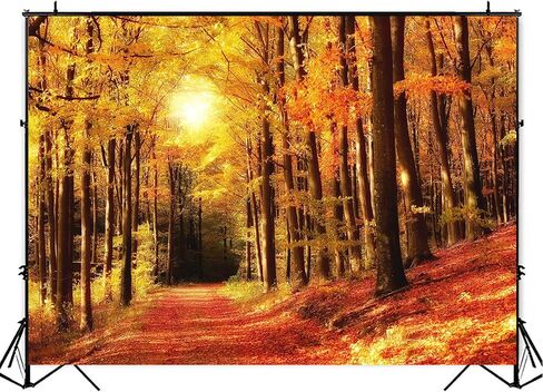 10x8ft أشجار القيقب خلفية الخريف الغابات مسار الأوراق المتساقطة طبيعة المناظر الطبيعية التصوير خلفية ضوء الشمس صباح توهج الحصاد حزب التخييم عيد ميلاد السفر الزفاف صور استوديو الدعامة in Saudi Arabia