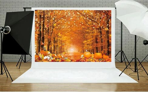 10x8ft أشجار القيقب خلفية الخريف الغابات مسار الأوراق المتساقطة طبيعة المناظر الطبيعية التصوير خلفية ضوء الشمس صباح توهج الحصاد حزب التخييم عيد ميلاد السفر الزفاف صور استوديو الدعامة in Saudi Arabia