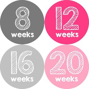 Weekly Pregnancy Growth Stickers | Week to Week Pregnant Expecting Photo Prop | Maternity Keepsake | Baby Bump | Weekly Stickers (Set of 12 Stickers)