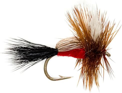 Outdoor Planet Premium Fly Fishing Flies Kit Fly Assortment Trout Bass Fishing | Dry Flies, Wet Flies, Nymphs, Hopper, Caddis, Worm | Trout, Bass, Steelhead Fishing in Kuwait